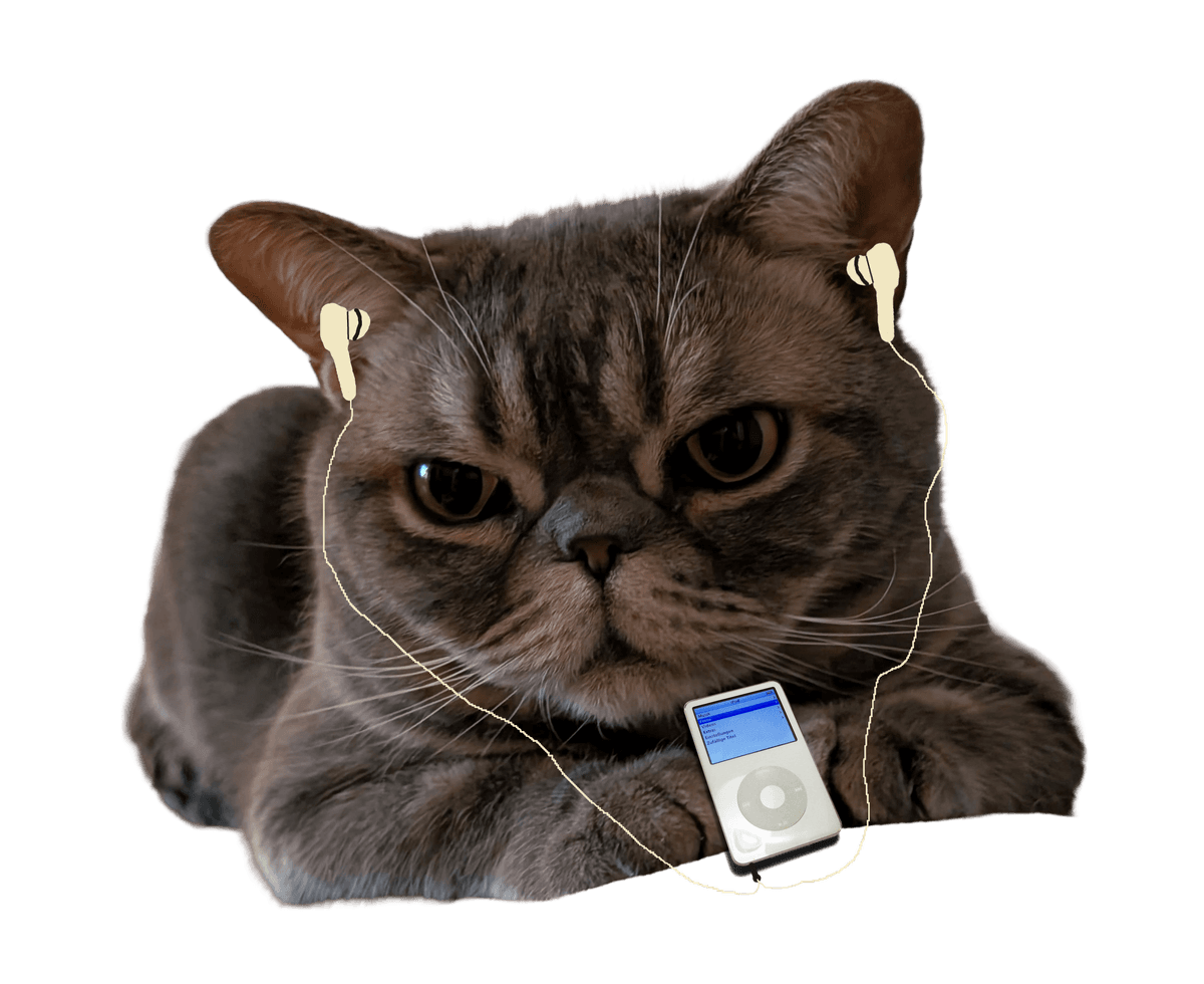 Thunder with headphones